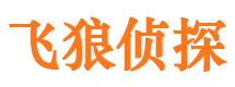 澧县市侦探调查公司